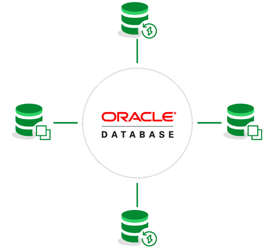 Instant Recovery And Clones For Oracle