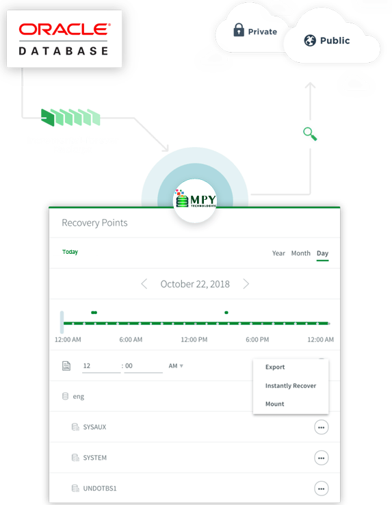 Instant Recovery For Oracle How It Works