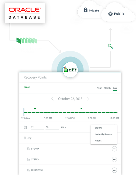 Instant Recovery for Oracle  How It Works Illustration