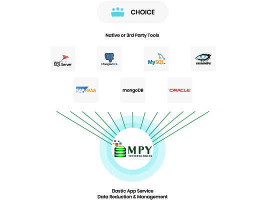 Protect Database Apps with Native Tools